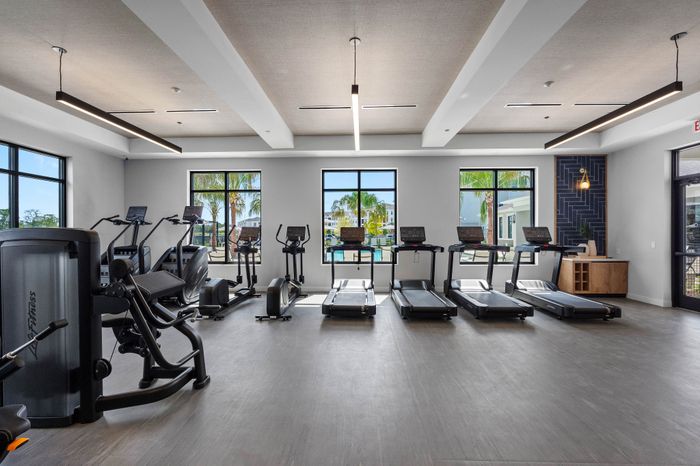 Modern fitness center featuring a row of treadmills, exercise bikes, and strength-training equipment with large windows showcasing a sunny view.