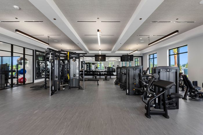 Modern gym with high-end fitness equipment, sleek design, and bright natural lighting for an invigorating workout experience.