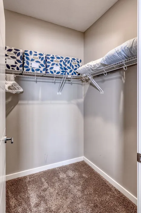Piper Lakes Walk-In Closet