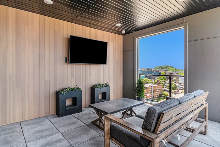 The Tribune Lofts - Rooftop Deck TV
