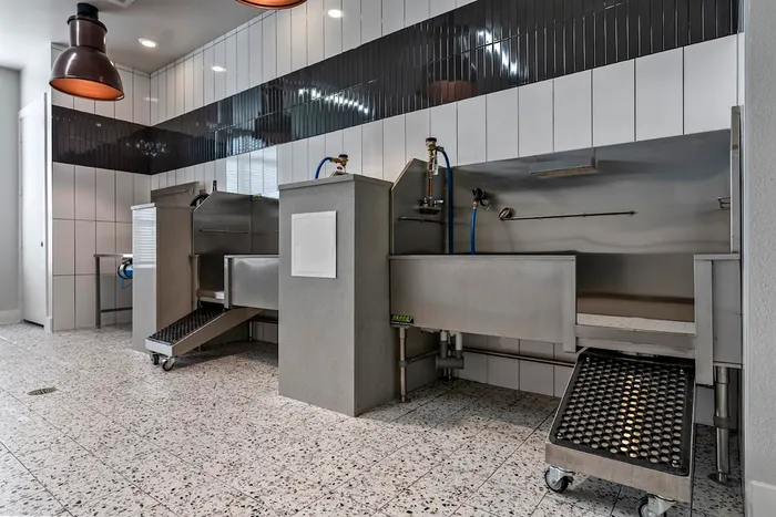 Modern pet grooming station with sleek stainless steel wash areas, contemporary tile flooring, and ambient lighting.