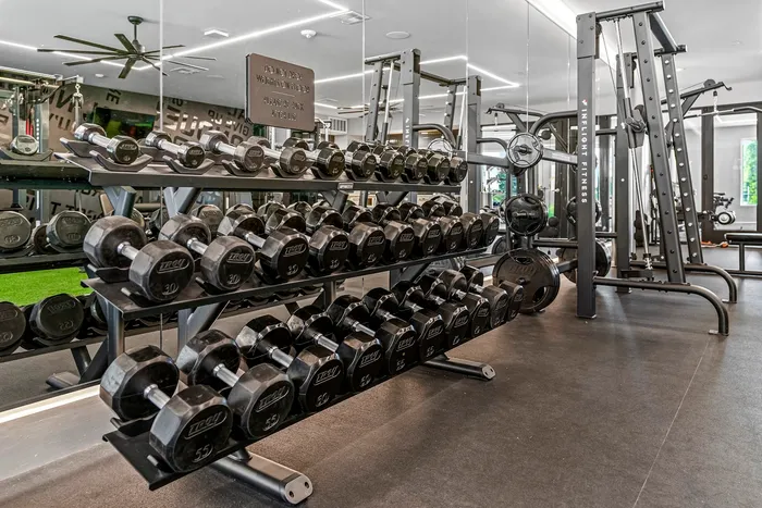 Modern gym with sleek weight racks and state-of-the-art fitness equipment.