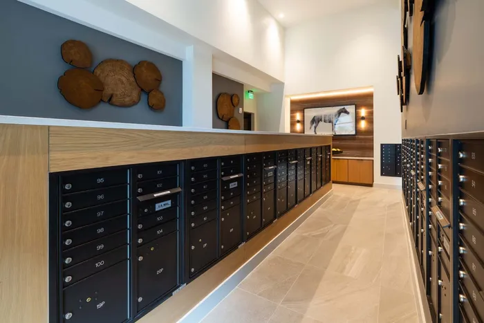 Elegant apartment mailroom featuring modern black mailboxes, stylish wood accents, and artistic wall decor.