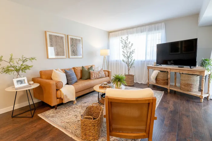 Bright furnished living room in 405 at Main Apartments, with leather sofa, TV console, area rug, and plants.