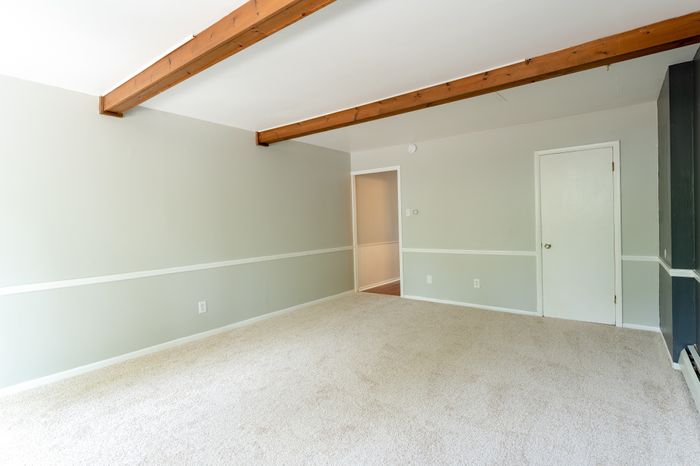 spacious back room with carpet