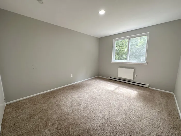 Carpeted bedroom with neutral paint, ceiling light and window.