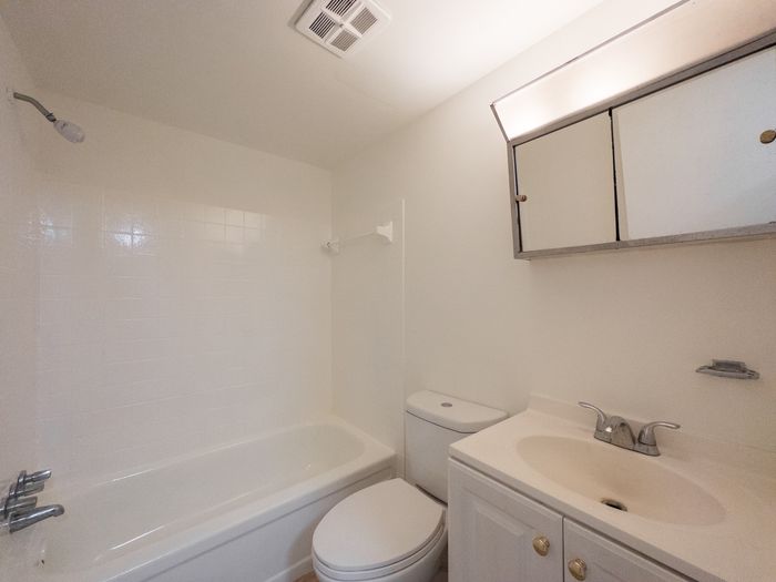 The Cloverleaf bathroom with tub-shower, toilet, single-sink vanity and mirrored cabinet.