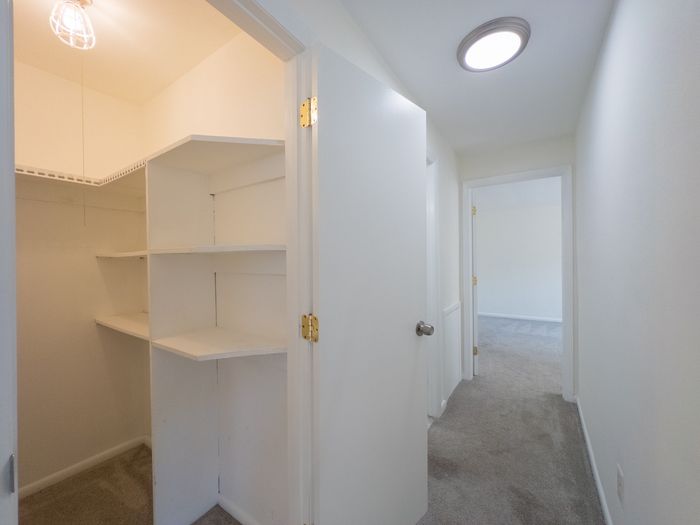 hallway with walk-in closet, overhead lights, carpet floors
