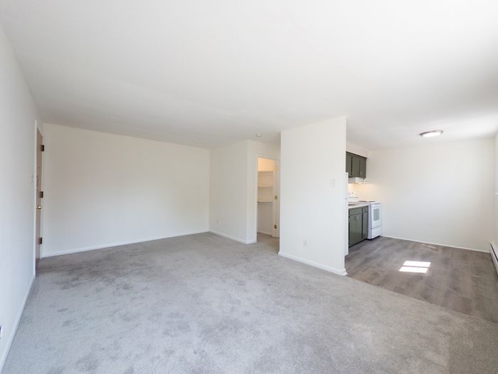 apartment with open kitchen, vinyl flooring, carpet, overhead lights