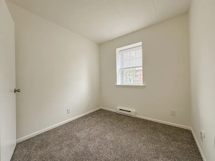 Bright and cozy bedroom with soft carpet flooring, freshly painted walls, and natural light streaming through a large window.