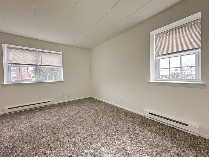 Bright and spacious room with plush carpet flooring, large windows providing abundant natural light, and a serene view of the outside greenery.