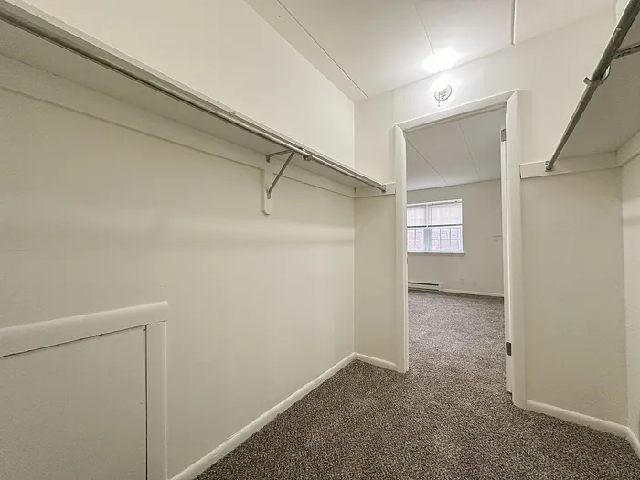 Spacious walk-in closet with ample shelving leading to a bright carpeted room with large windows.