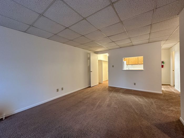 Spacious living area with cozy carpet, modern ceiling tiles, and a peek-through kitchen window enhancing the apartment's open-concept design.