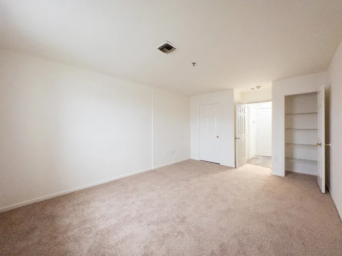 Spacious, well-lit room with plush carpet, featuring ample shelving and a modern door design.