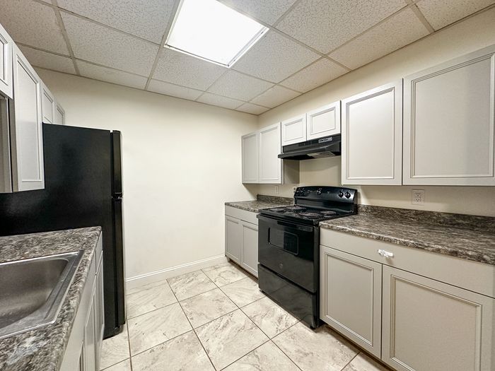 Elegant kitchen featuring modern appliances, sleek dark countertops, and ample white cabinetry for stylish storage.