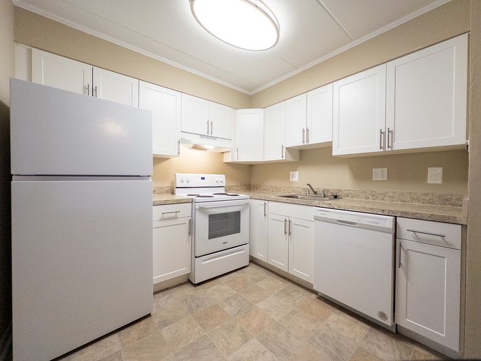 Bright and modern kitchen featuring sleek white cabinetry, an electric stove, spacious countertops, and a built-in dishwasher.