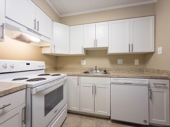 Bright and modern kitchen with sleek white cabinetry, spacious countertops, and high-quality appliances.