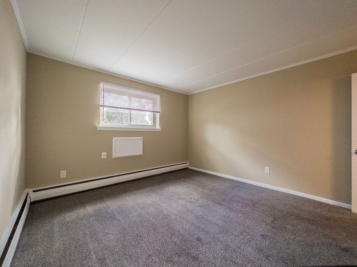 Bright and spacious bedroom with soft carpeting, neutral walls, and a large window for natural light.