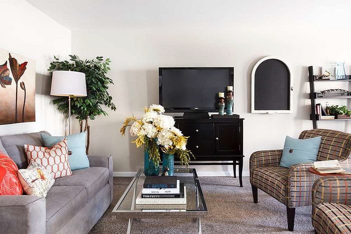 Chic living room showcasing elegant decor with a cozy gray sofa, vibrant cushions, a sleek glass coffee table, and stylish wall art, creating an inviting atmosphere.