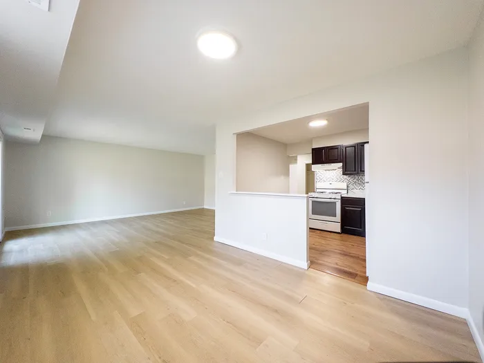 Bright, open-concept apartment with hardwood floors, sleek modern kitchen, and ample natural light.