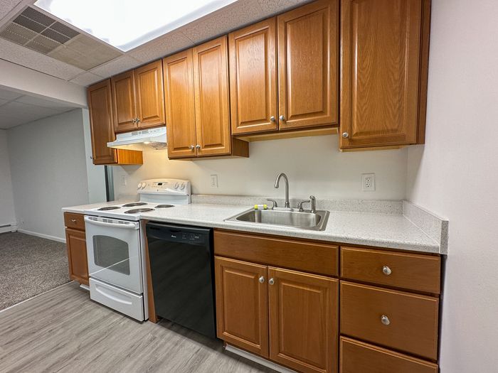 Modern kitchen featuring warm wooden cabinets, sleek countertops, and equipped with a stove and dishwasher, ideal for culinary enthusiasts.