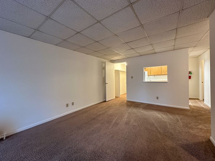 Inviting living space with plush carpeting, leading to a cozy kitchen through a convenient pass-through.