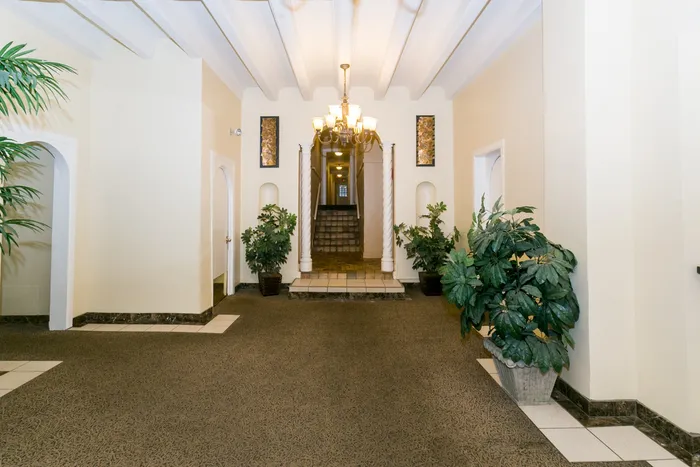 Nicely decorated building lobby with plants and bordered carpeting.
