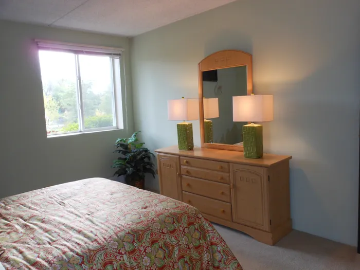 Large bedroom with great closet space, a sunny window, and wall to wall carpeting.