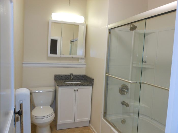 Bathroom with a white vanity and a shower surround.