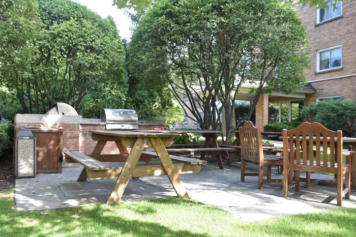 Outdoor picnic and grilling area with mature trees.