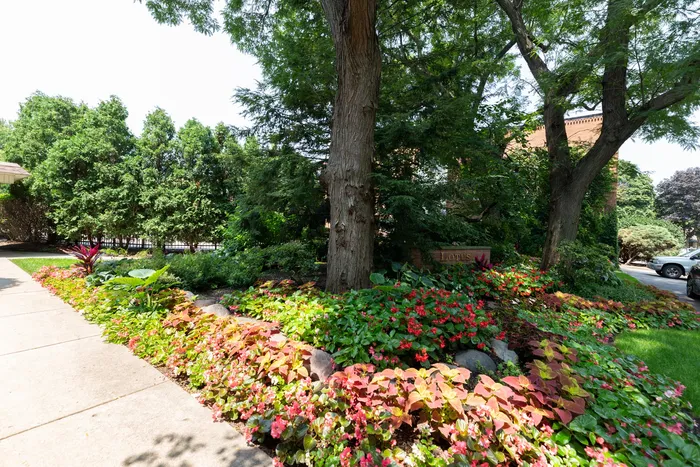 A garden area with brightly colored flowers in the summer.