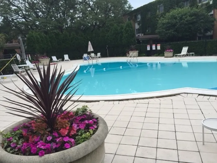 A free pool with potted plants and lounge chairs for summertime use.