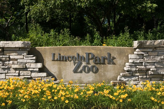 Stone sign of Lincoln Park Zoo with flowers and trees surrounding
