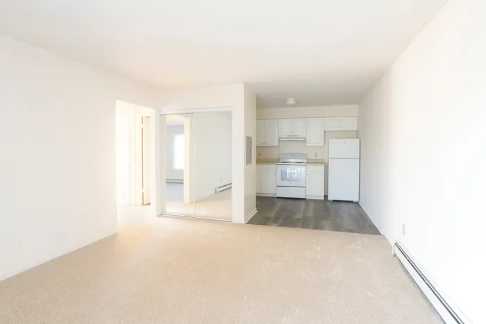 Kitchen and living room with carpet and a mirrored closet door