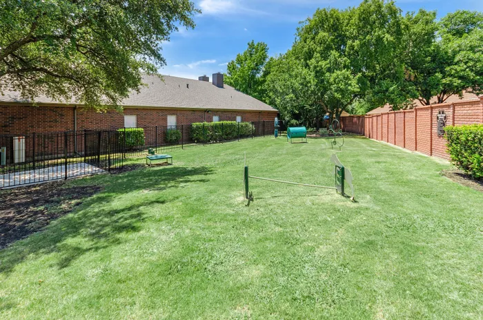 Open dog park with green grass and agility equipment in Plano, TX.