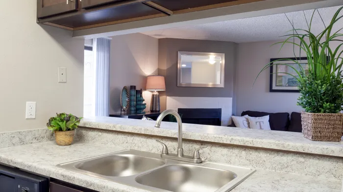 Bright kitchen in Carrollton, TX apartment with double sink and open counter.