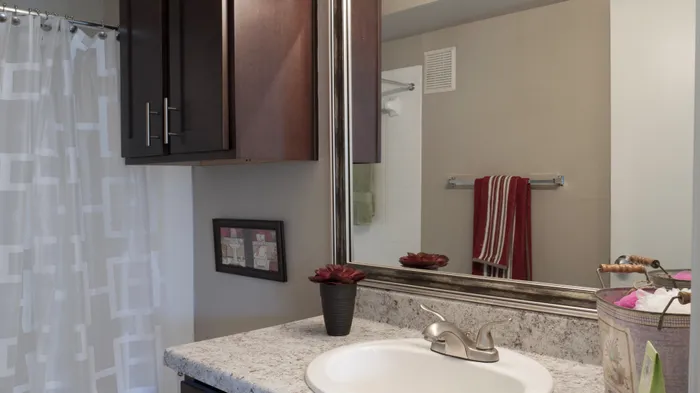 Sleek bathroom in Carrollton, TX apartment featuring dark cabinets and contemporary finishes.
