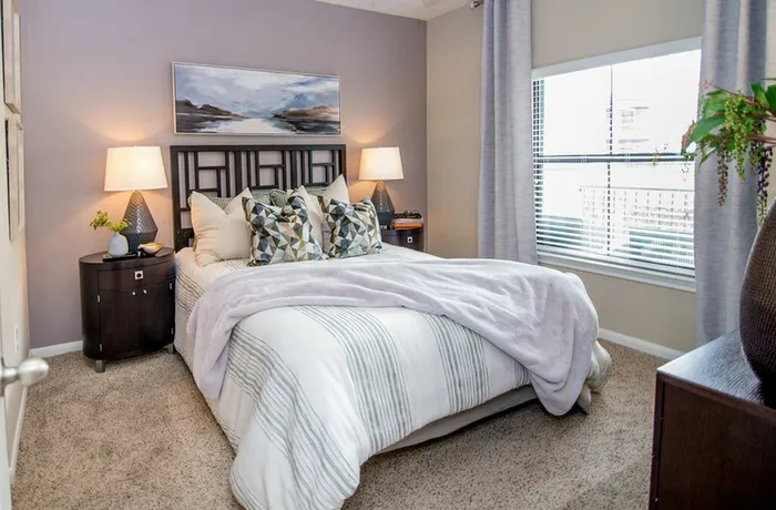 spacious bedroom with a large window, wall-to-wall plush carpeting, light walls and bedroom furniture