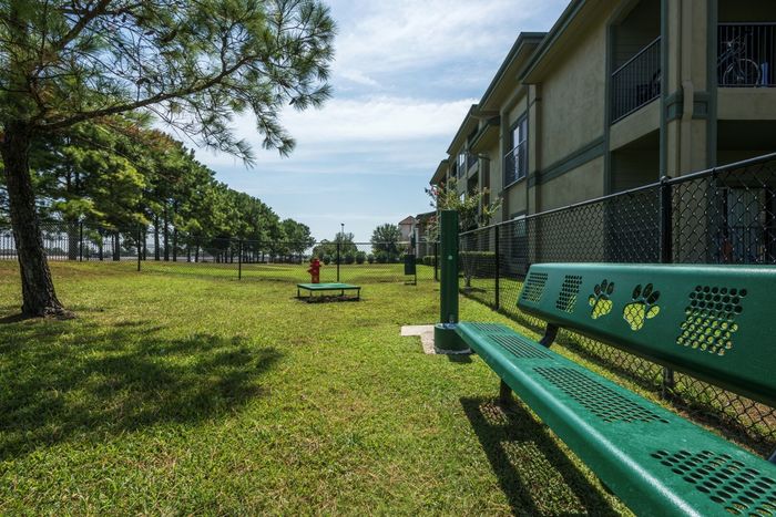 grassy pet park with a lot of grass and a bench for sitting