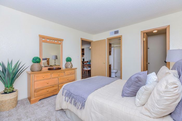 a large room filled with a warmly-dressed bed, a dresser, and a large window allowing for plenty of natural light