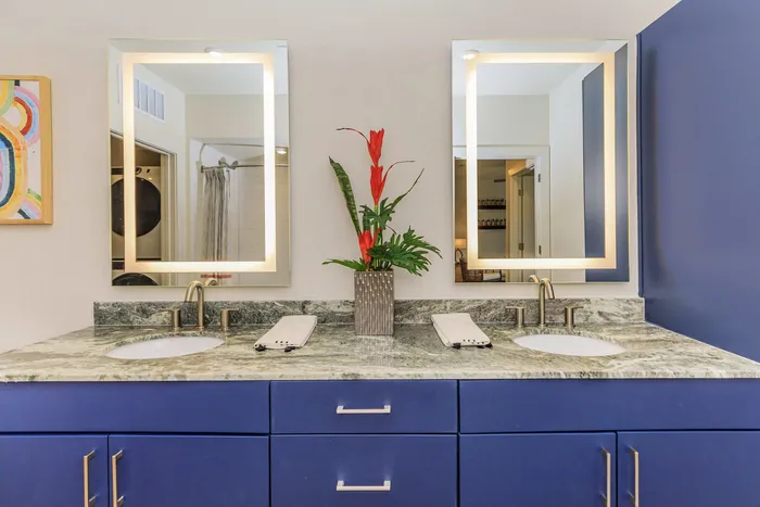 double sinks and double mirrors