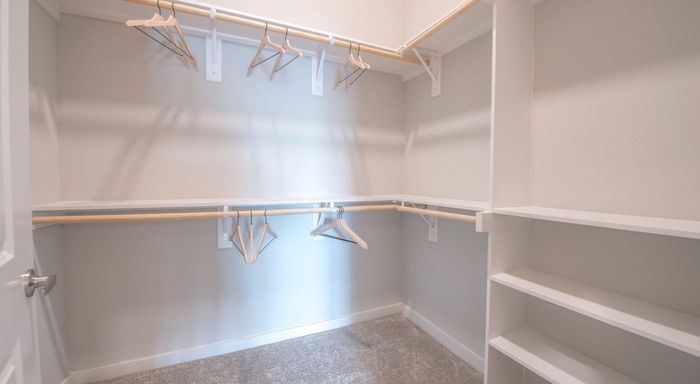 a large closet space with a high ceiling, multiple built-in shelves, bars for hanging clothes, empty hangers, and wall-to-wall plush carpeting