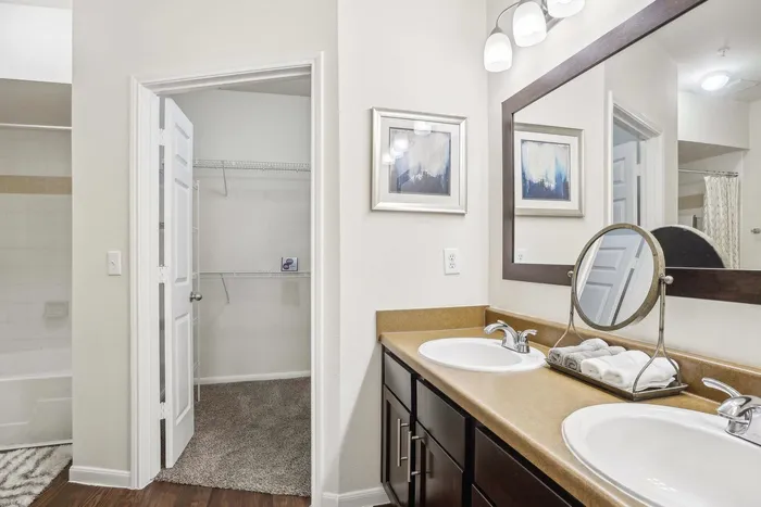 master bathroom with walk-in closet and two sinks