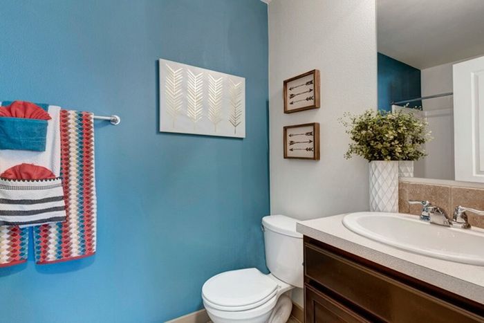 Bathroom | 2-Bedroom Pasco Apartments | Navigator Villas