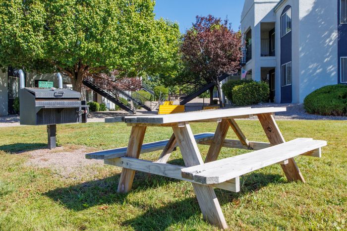 Well-equipped outdoor BBQ area with grills and picnic seating at Lifestyles at Renaissance Apartments in Albuquerque, NM.