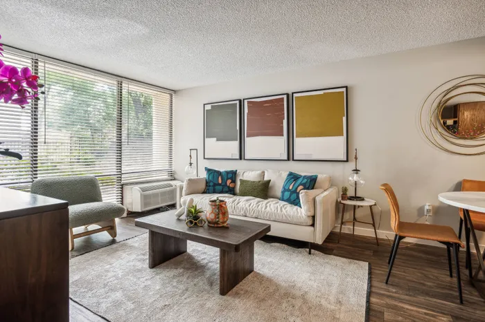 spacious and bright living area