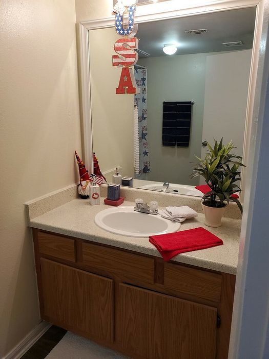 bathroom sink next to a large mirror