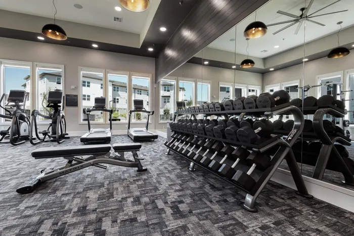 state of the art fitness center with barbells and lifting bench