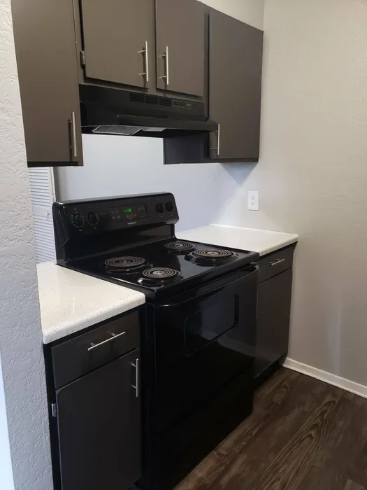 state of the art kitchen with black appliances