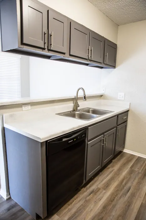 sink and dishwasher on the island